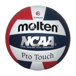 Molten Pro Touch Volleyball