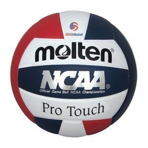 Molten Pro Touch Volleyball