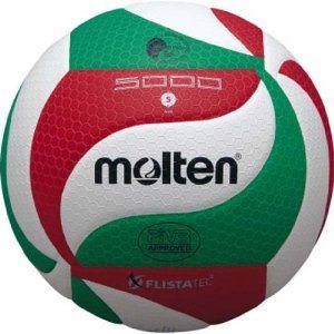 Molten V5M5000 Volleyball