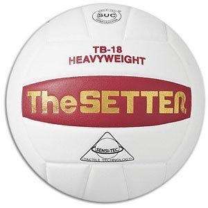 Training Volleyballs - Tachikara Setter