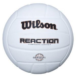 Wilson Light Volleyball